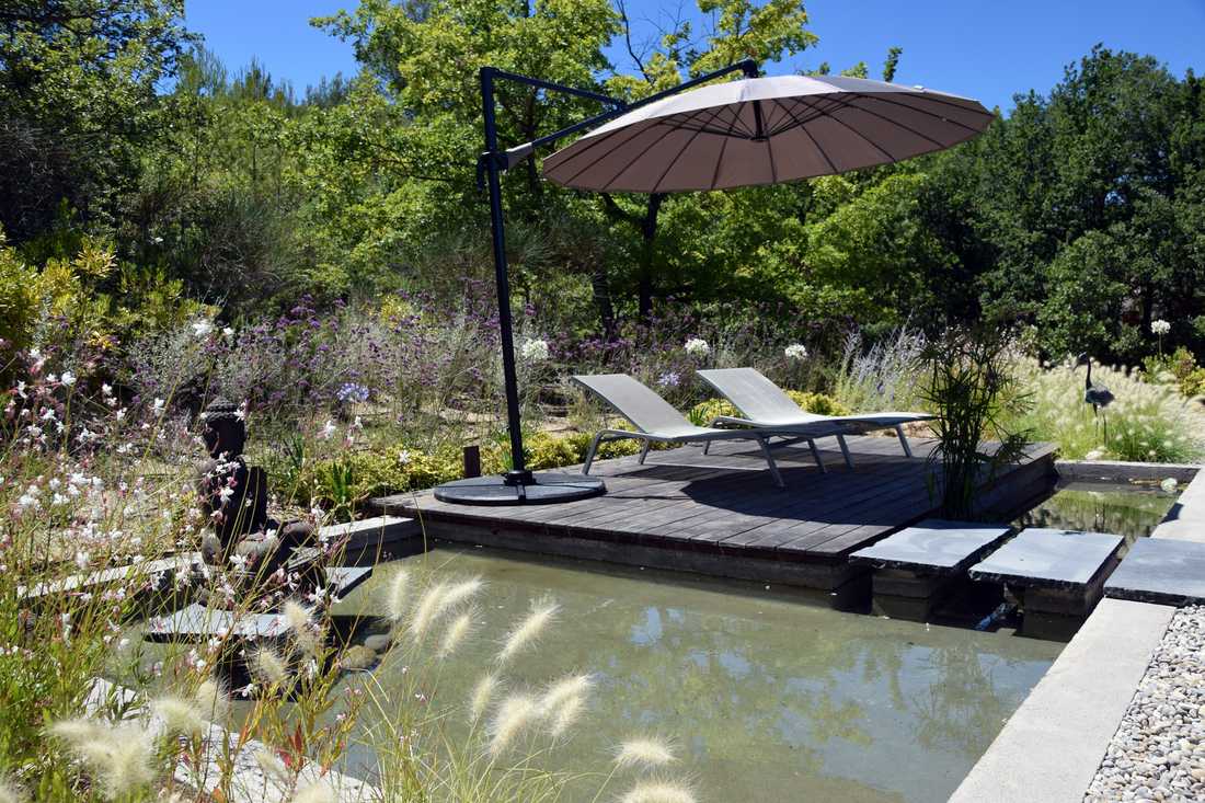 Bassin zen conçu par un jardinier-paysagiste dans l'Hérault