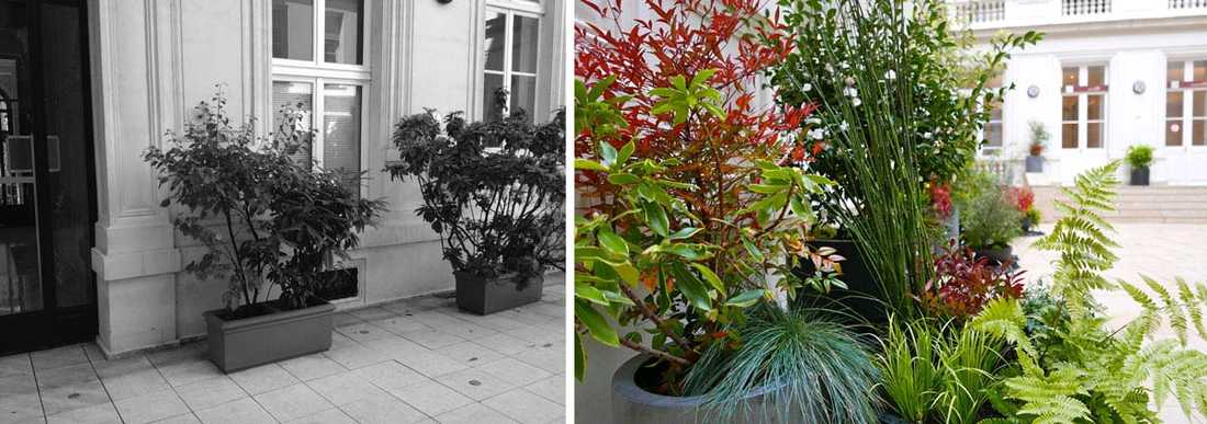 Un jardinier paysagiste aménage la cour intérieure d'un hôtel particulier à Montpellier