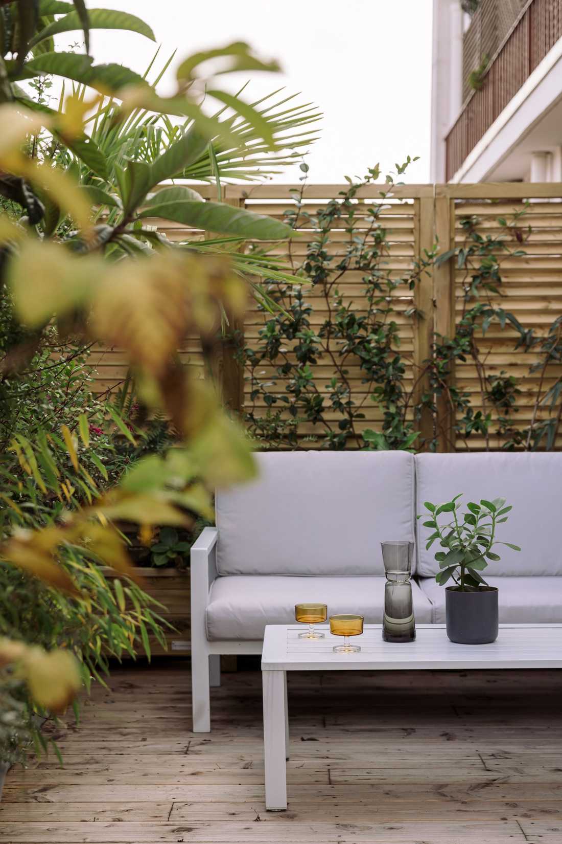 Terrasse végétalisée par un concepteur paysagiste