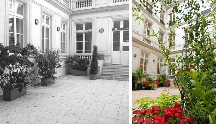 Avant - aprés de la cour d'un hôtel particulier aprés intervention d'un jardinier paysagiste